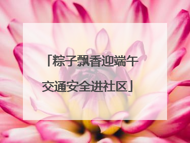 粽子飘香迎端午 交通安全进社区