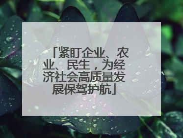 紧盯企业、农业、民生，为经济社会高质量发展保驾护航