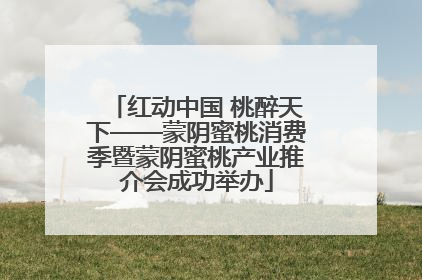 红动中国 桃醉天下——蒙阴蜜桃消费季暨蒙阴蜜桃产业推介会成功举办