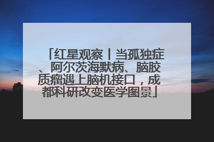 红星观察丨当孤独症、阿尔茨海默病、脑胶质瘤遇上脑机接口，成都科研改变医学图景
