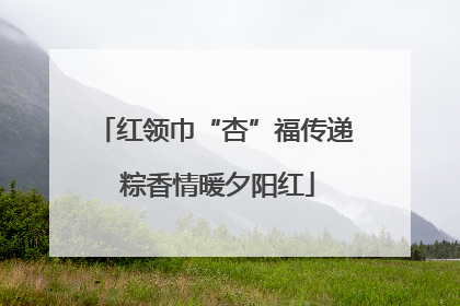 红领巾“杏”福传递 粽香情暖夕阳红