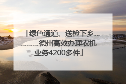 绿色通道、送检下乡…………德州高效办理农机业务4200多件