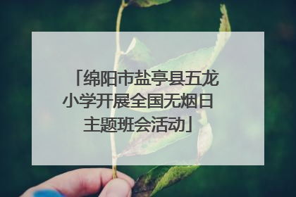 绵阳市盐亭县五龙小学开展全国无烟日主题班会活动