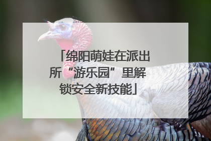 绵阳萌娃在派出所“游乐园”里解锁安全新技能