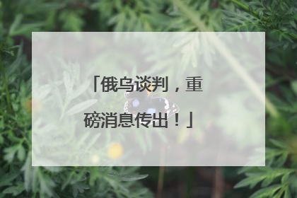 俄乌谈判，重磅消息传出！