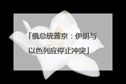俄总统普京：伊朗与以色列应停止冲突