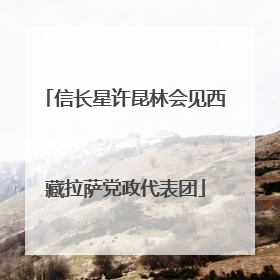 信长星许昆林会见西藏拉萨党政代表团