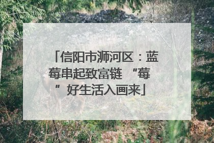 信阳市浉河区：蓝莓串起致富链 “莓”好生活入画来