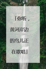 你听，黄河岸边的鸟儿正在歌唱