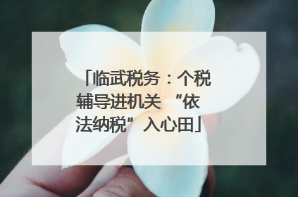 临武税务：个税辅导进机关 “依法纳税”入心田