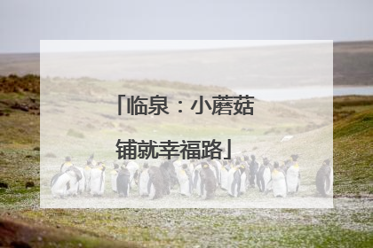 临泉：小蘑菇铺就幸福路