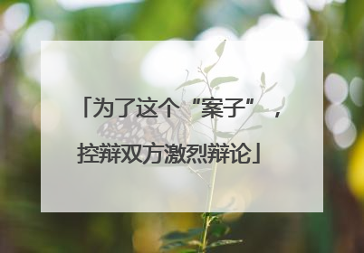 为了这个“案子”，控辩双方激烈辩论