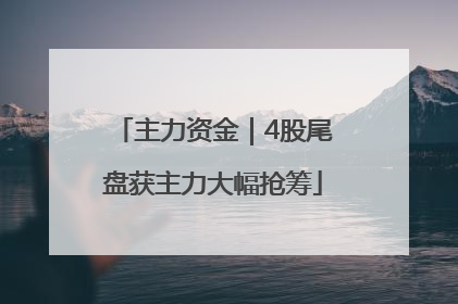 主力资金｜4股尾盘获主力大幅抢筹