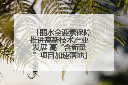 丽水全要素保障推进高新技术产业发展 高“含新量”项目加速落地