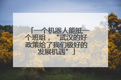 一个机器人能抵一个班组，“武汉的好政策给了我们极好的发展机遇”