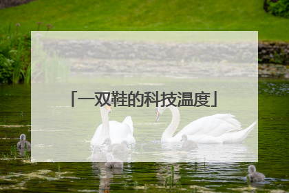 一双鞋的科技温度