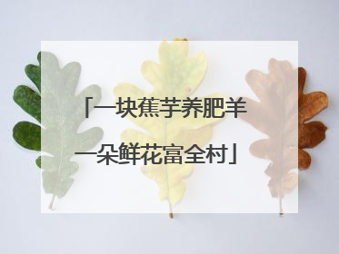 一块蕉芋养肥羊 一朵鲜花富全村