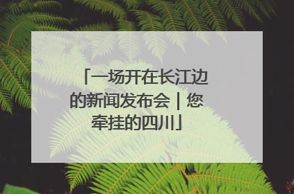 一场开在长江边的新闻发布会｜您牵挂的四川