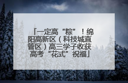 一定高“粽”！绵阳高新区（科技城直管区）高三学子收获高考“花式”祝福