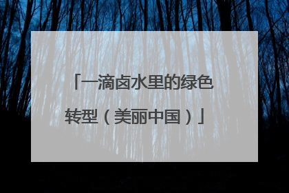 一滴卤水里的绿色转型（美丽中国）