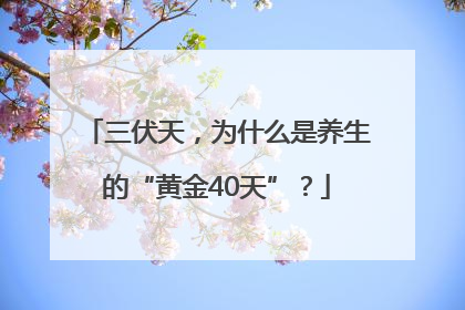 三伏天，为什么是养生的“黄金40天”？