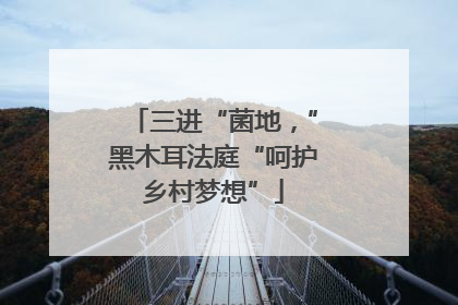 三进“菌地，”黑木耳法庭“呵护乡村梦想”