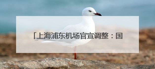 上海浦东机场官宣调整：国际港澳台出发24小时通关！睡眠舱和淋浴间也来了