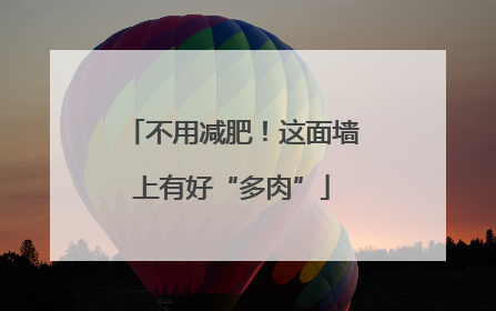 不用减肥！这面墙上有好“多肉”