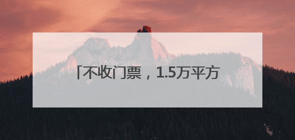 不收门票，1.5万平方米月季园爆火！一起去三好桥头看“龙凤呈祥”