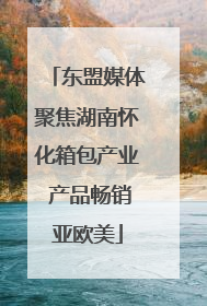 东盟媒体聚焦湖南怀化箱包产业 产品畅销亚欧美