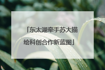 东太湖牵手苏大描绘科创合作新蓝图