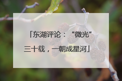 东湖评论：“微光”三十载，一朝成星河