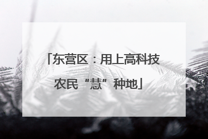 东营区：用上高科技 农民“慧”种地