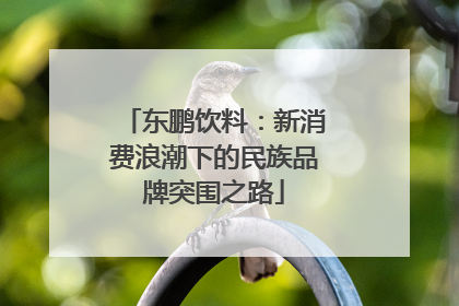 东鹏饮料：新消费浪潮下的民族品牌突围之路
