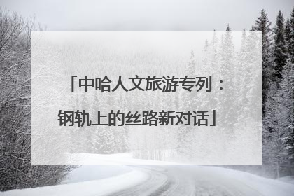 中哈人文旅游专列：钢轨上的丝路新对话
