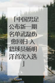 中国男足公布新一期名单武磊伤愈回归 入籍球员杨明洋首次入选