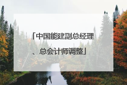 中国能建副总经理、总会计师调整