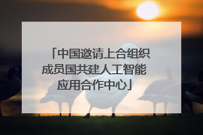 中国邀请上合组织成员国共建人工智能应用合作中心