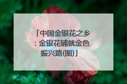 中国金银花之乡：金银花铺就金色振兴路(图)