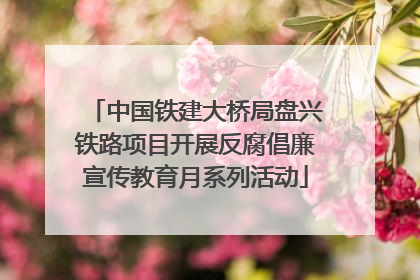 中国铁建大桥局盘兴铁路项目开展反腐倡廉宣传教育月系列活动