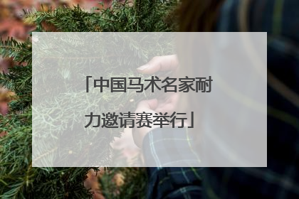 中国马术名家耐力邀请赛举行