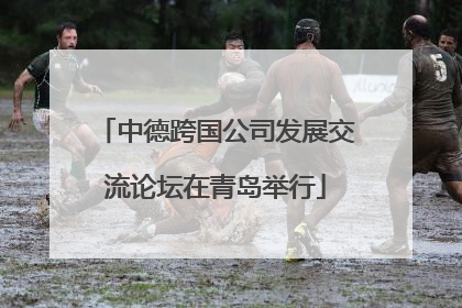 中德跨国公司发展交流论坛在青岛举行