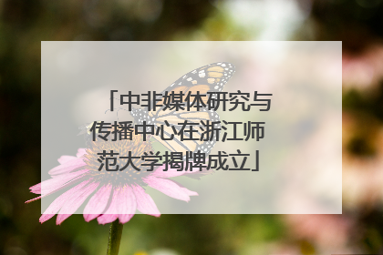 中非媒体研究与传播中心在浙江师范大学揭牌成立