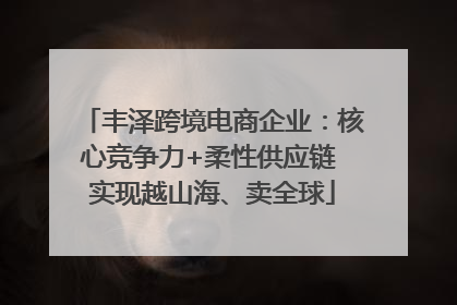 丰泽跨境电商企业：核心竞争力+柔性供应链 实现越山海、卖全球