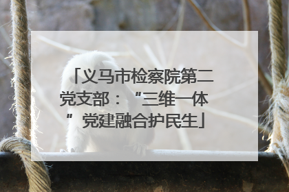 义马市检察院第二党支部：“三维一体”党建融合护民生