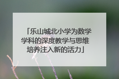 乐山城北小学为数学学科的深度教学与思维培养注入新的活力