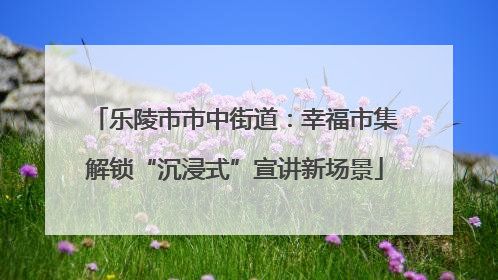 乐陵市市中街道：幸福市集解锁“沉浸式”宣讲新场景