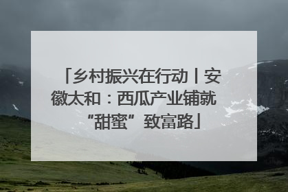 乡村振兴在行动丨安徽太和：西瓜产业铺就“甜蜜”致富路