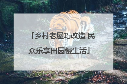 乡村老屋巧改造 民众乐享田园慢生活