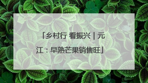 乡村行 看振兴｜元江：早熟芒果销售旺